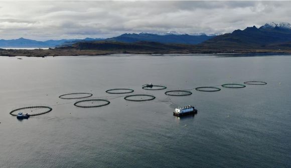 Kaldvík ætlar að framleiða 21.500 tonn