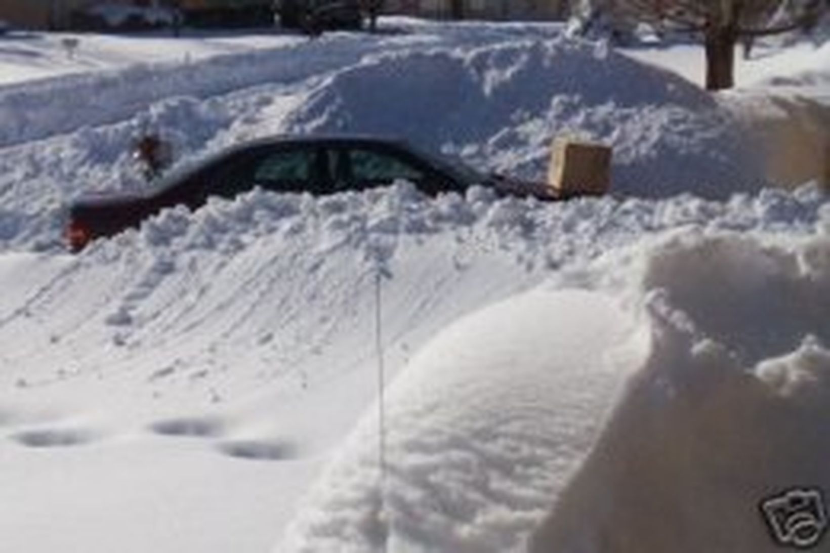 Snjórinn í Colorado, sem nú er hægt að kaupa á …