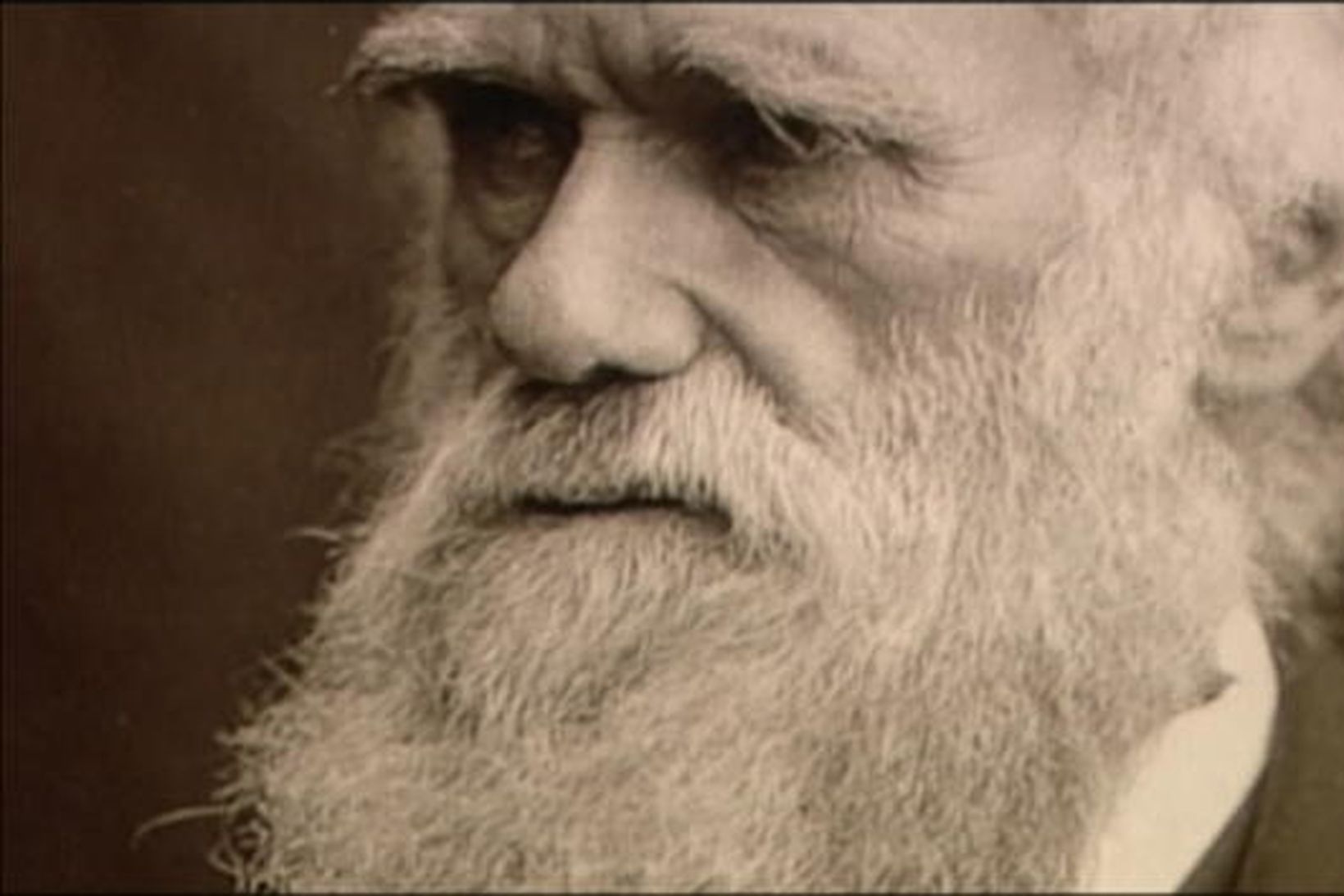 Charles Darwin hlaut á fimmta þúsund atkvæða þó látinn væri …