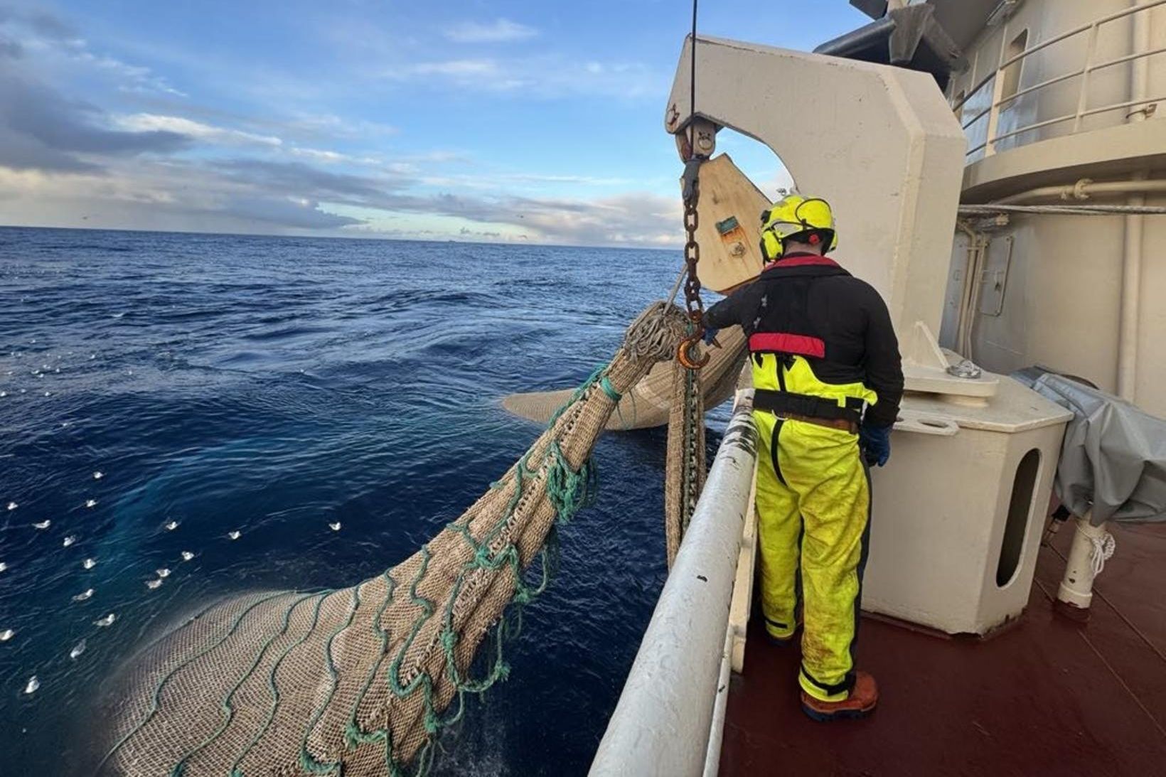 3.700 tonnum af kolmunna var landað í Neskaupstað síðastliðna helgi.