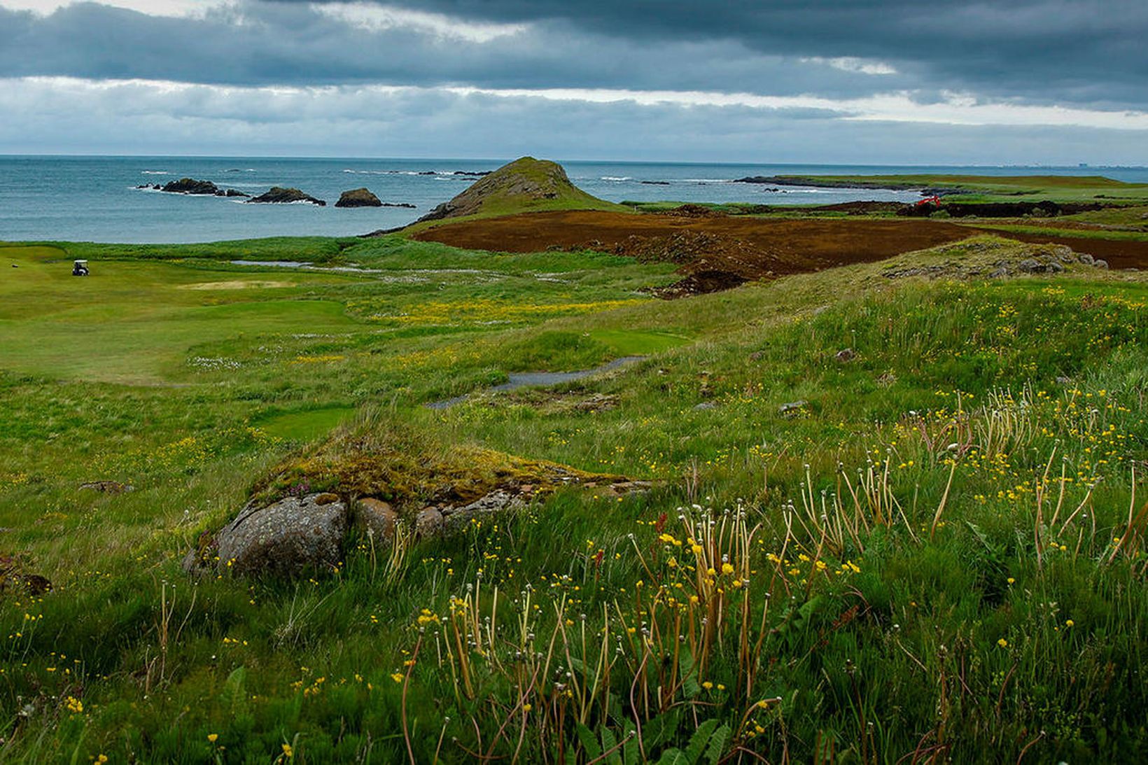 Fagurt er um að litast í Brautarholti á Kjalarnesi en …