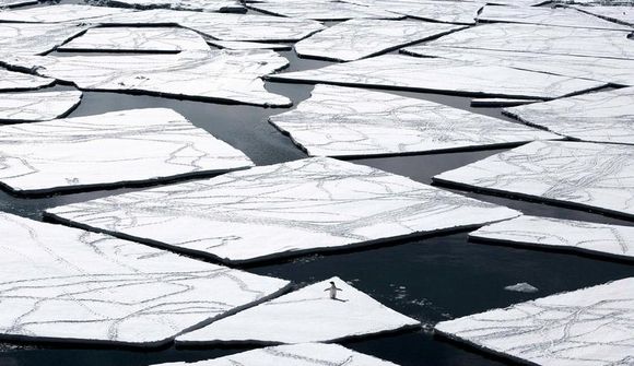 Hafísbreiður jarðar í lágmarki