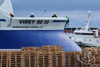 Viðey RE-50