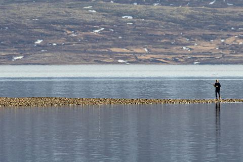 An angler in Eskifjörður yesterday.