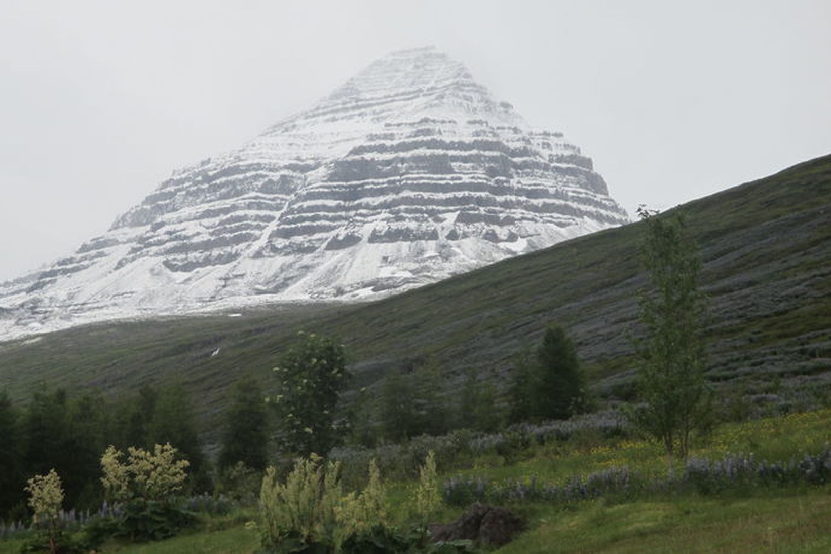 Hitinn mældist 23 gráður á Fáskrúðsfirði í gær en fór …