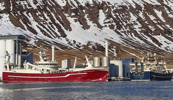Kolmunninn streymir til Neskaupstaðar