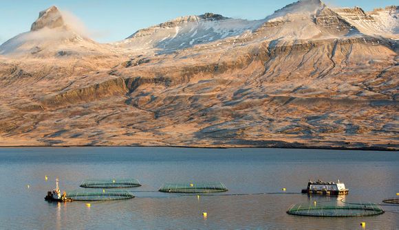 Eftirlitið verði í heimabyggð