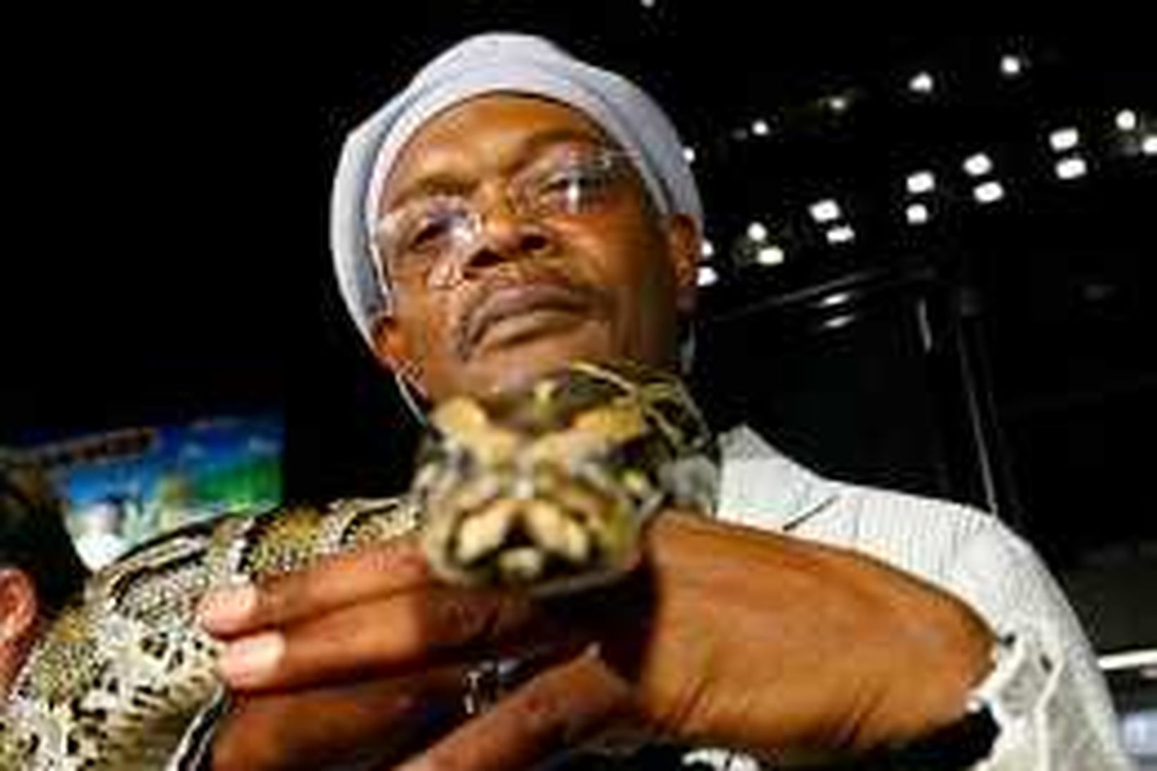 Samuel L. Jackson heldur hér á kyrkislöngu við frumsýningu Snakes …