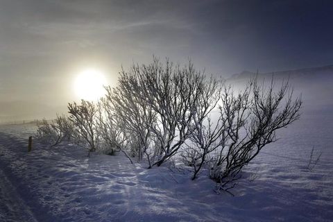 Photo: Skapti Hallgrímsson