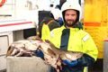 Sjávarútvegur Atvinnugrein í stöðugri þróun eins og dæmin sýna.