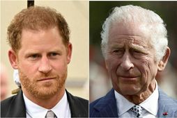 Harry hefur í gegnum tíðina gagnrýnt fjölskyldu sína, rétt eins og eiginkona hans Meghan Markle.