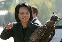 Condoleezza Rice, utanríkisráðherra Bandaríkjanna, virti fyrir sér fálka þegar hún var stödd í Kirgisistan í …