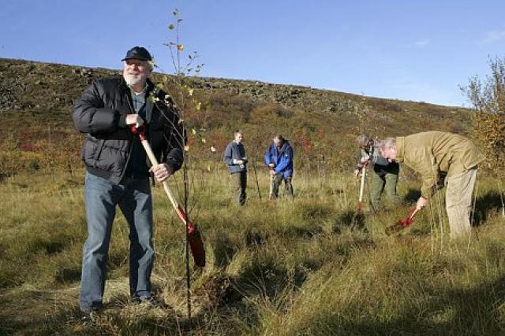 Vinaskógur er í landi Kárastaða.