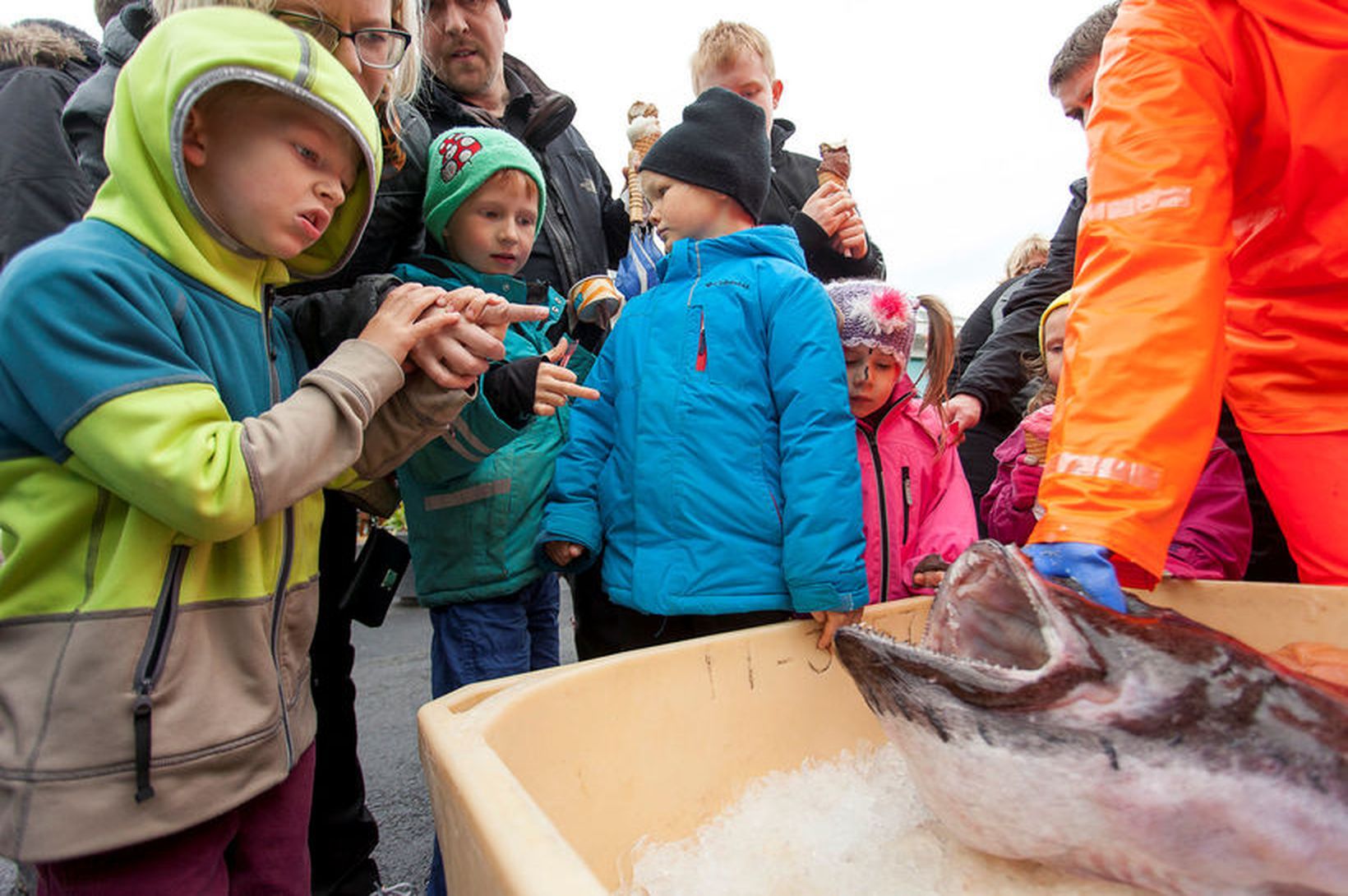 Fögnum helginni með sjómönnum og risaeðlum!