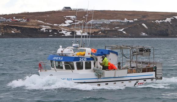 Hafa ekki veitt undanþágur frá innflutningsbanni