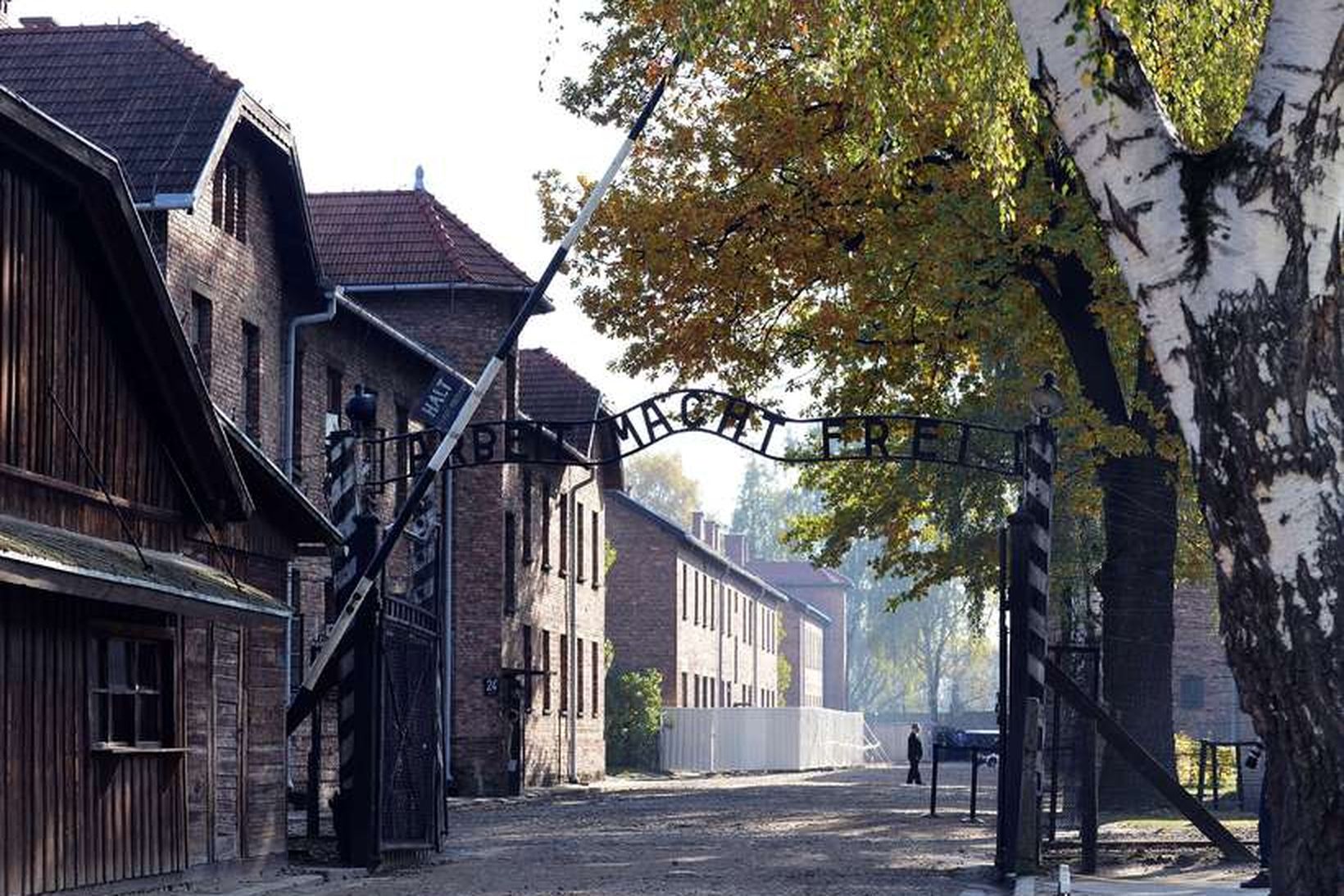 Frá Auschwitz útrýmingarbúðunum.
