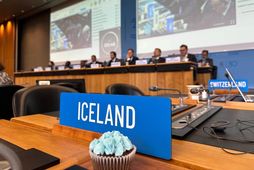 Ísland hefur frá upphafi verið í fararbroddi viðræðna um samning um takmörkun ríkisstyrkja í sjávarútvegi.