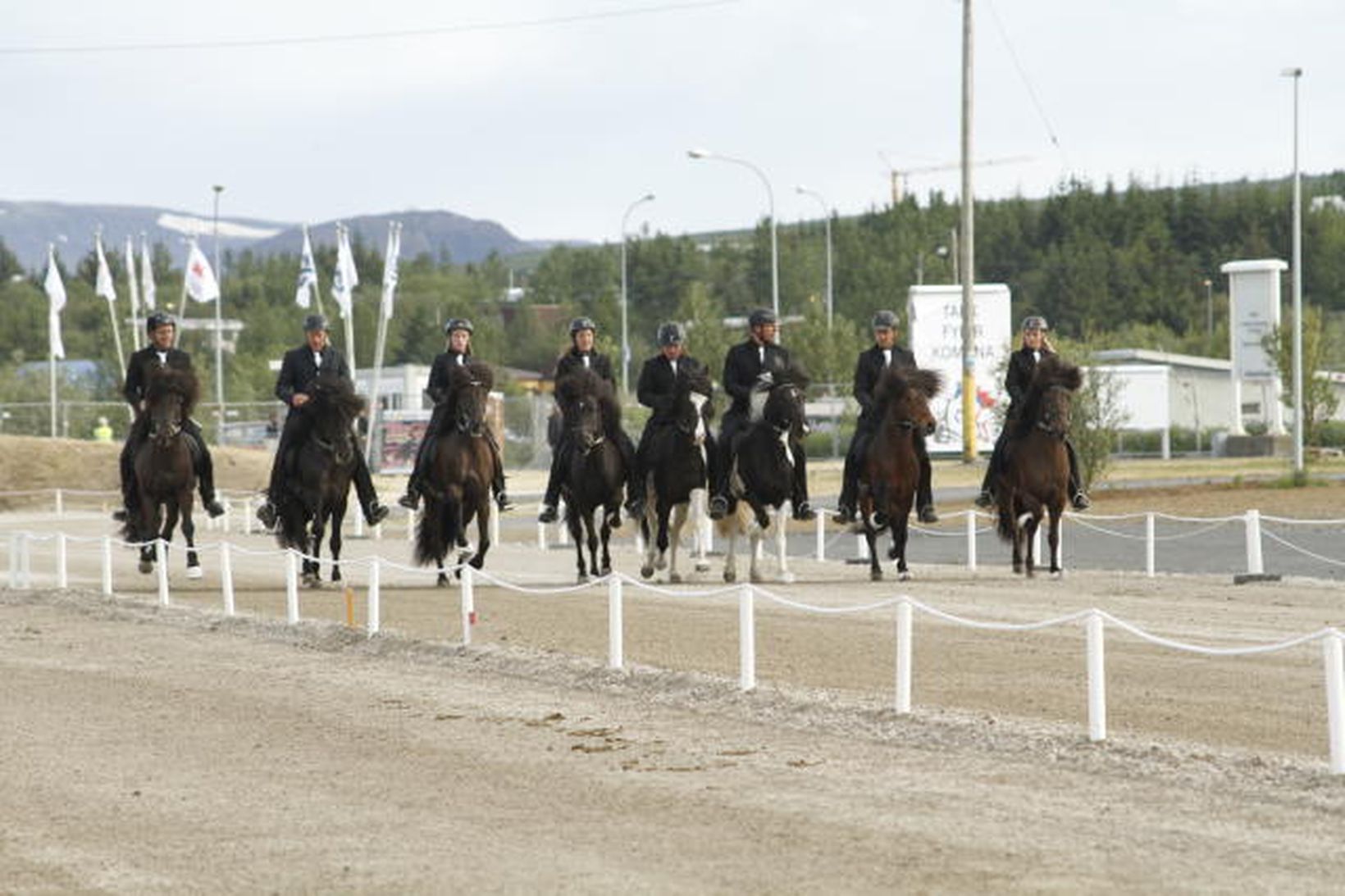 Ræktunarbússýning Efri-Rauðalækjar á Landsmóti í Reykjavík 2012. Nú verður búið …