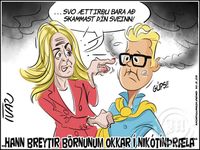 Teikningin - fös.16.maí.2025