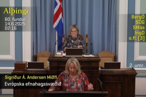 Sigríður í pontu Alþingis í nótt.