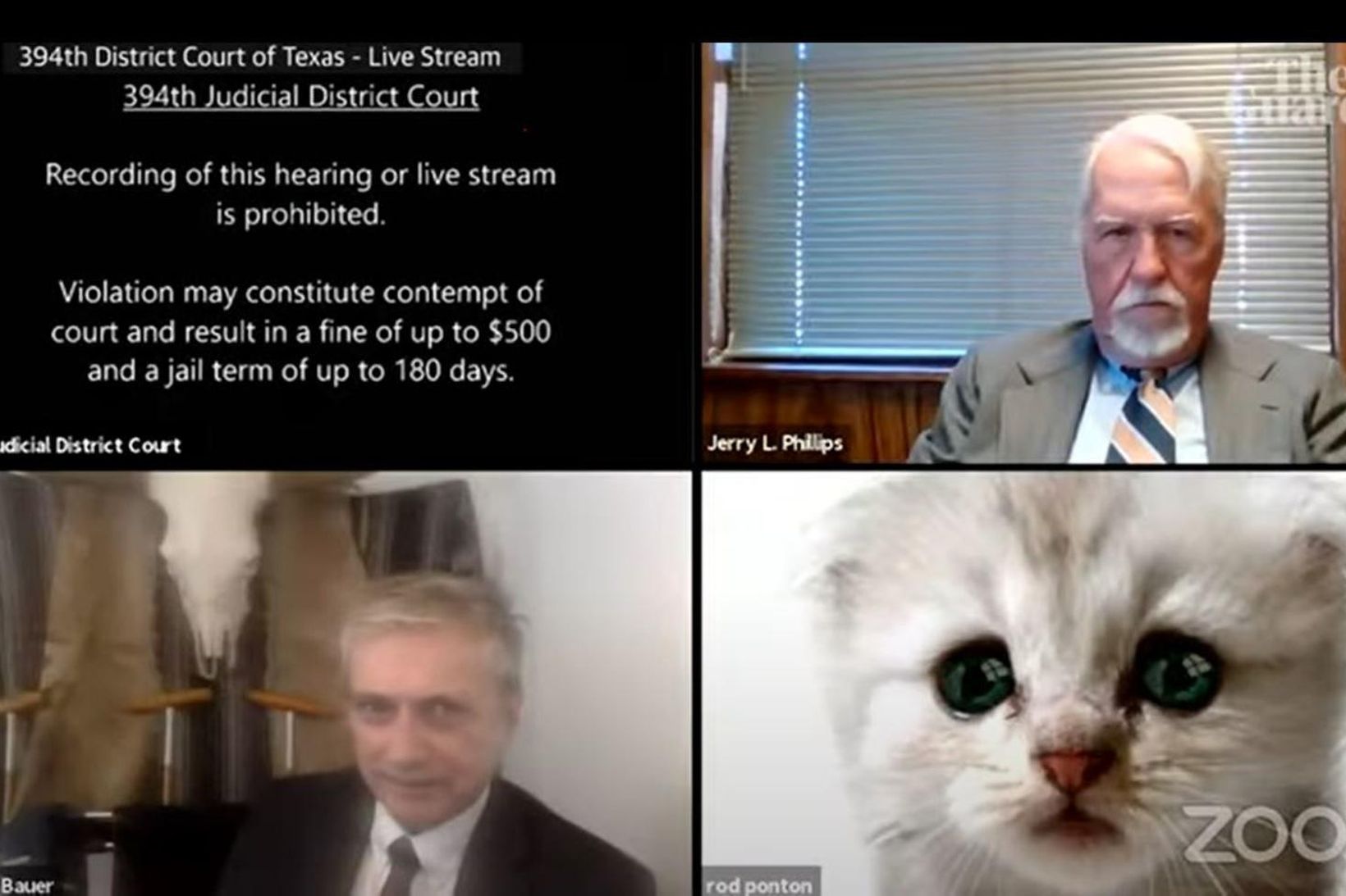 Fimm ár liðin: „Ég er ekki köttur“