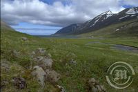 Jarðgöng