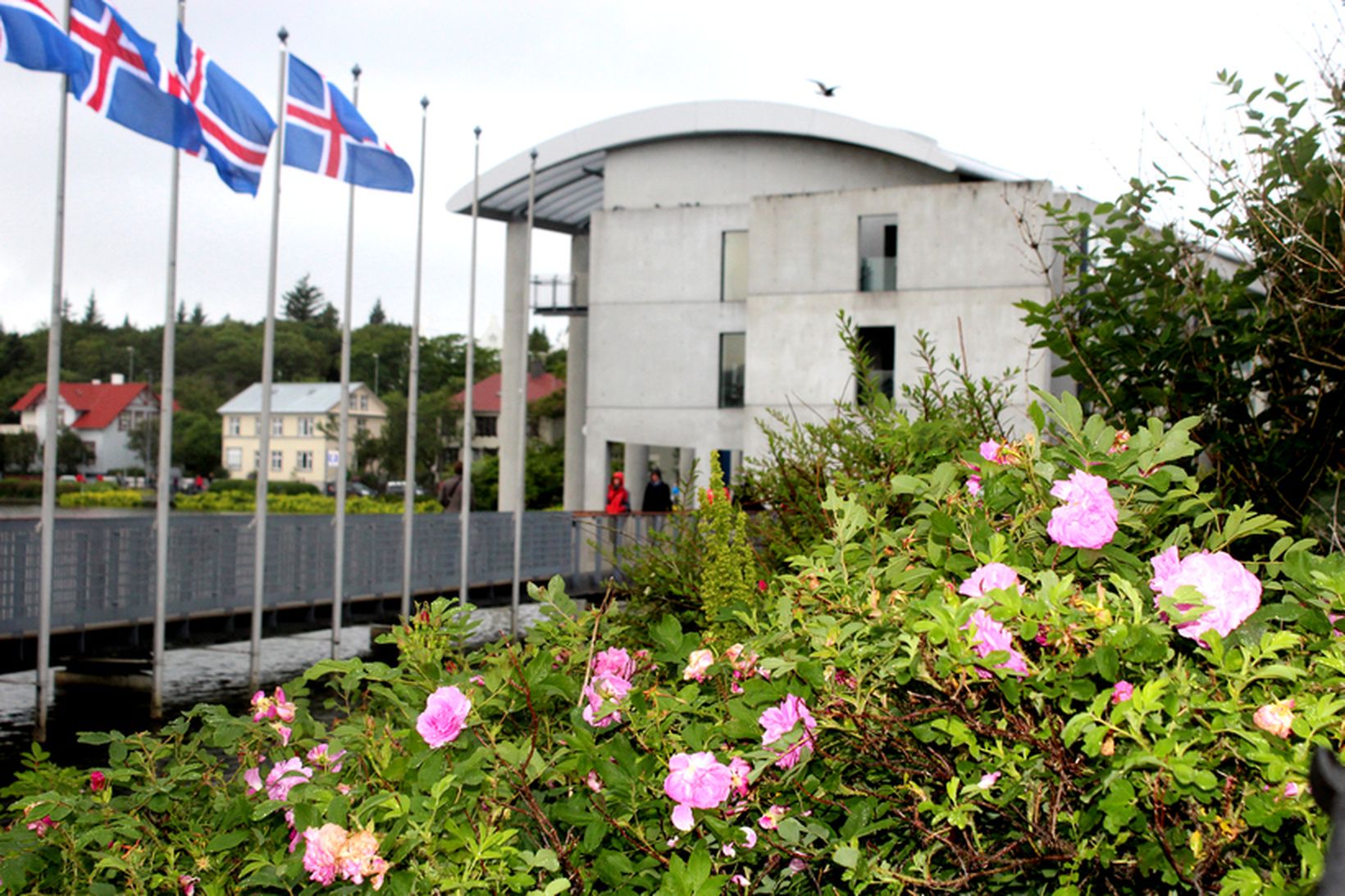 Ráðhús Reykjavíkur