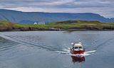 Horft er yfir Viðey í átt að snævi snauðri Esjunni, en skaflinn í Gunnlaugsskarði hefur …