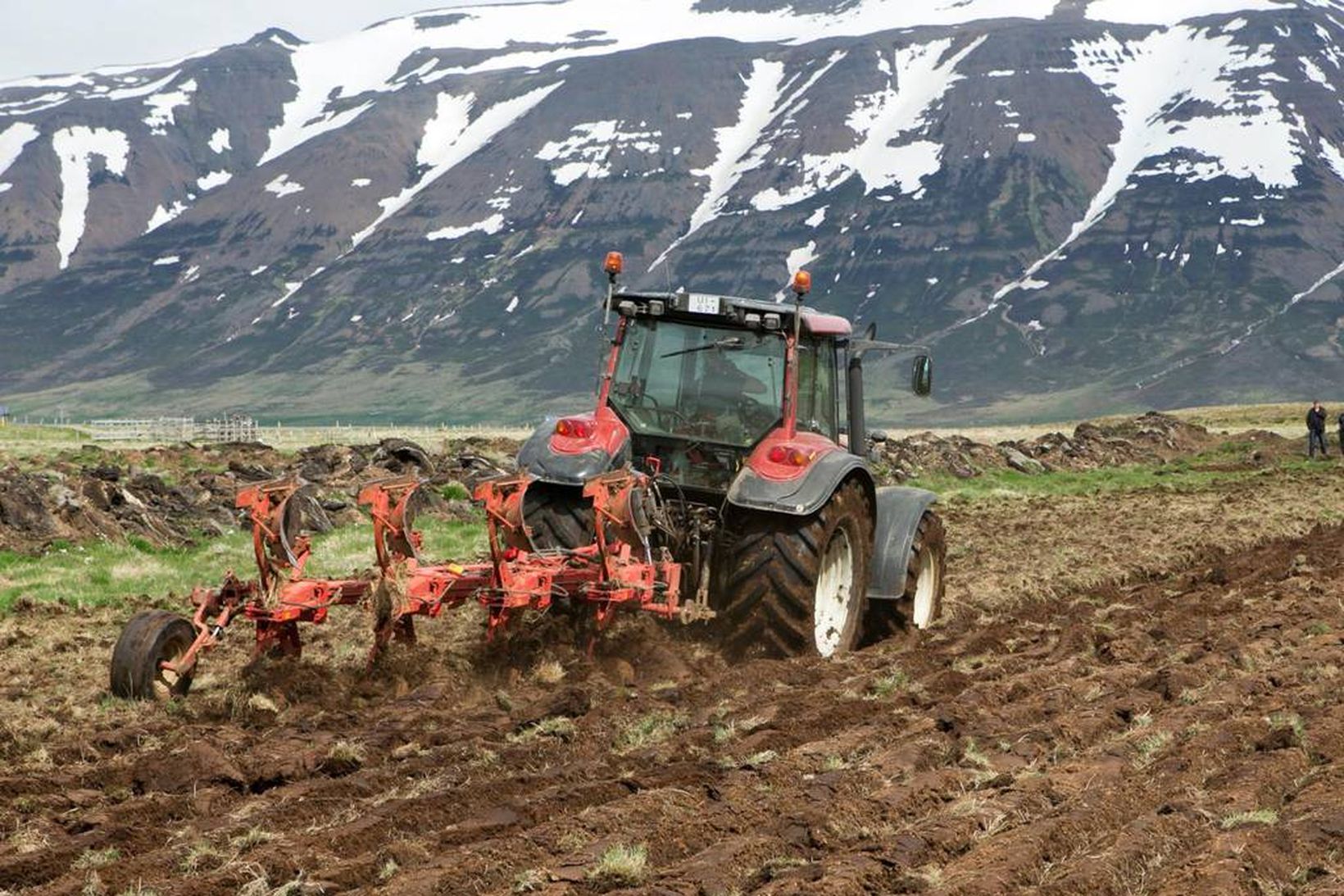 Bændur urðu fyrir búsifjum vegna kals og kuldakasts sl. vor.