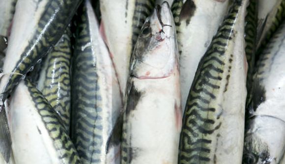 Vilja viðskiptaþvinganir á Ísland