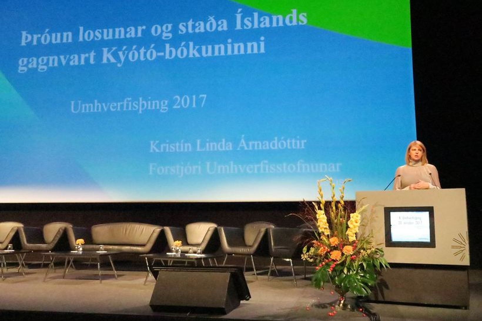 Kristín Linda Árnadóttir, forstjóri Umhverfisstofnunar, greindi frá stöðu Íslands gagnvart …