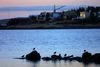 Ákærð fyrir manndráp og tilraun til manndráps