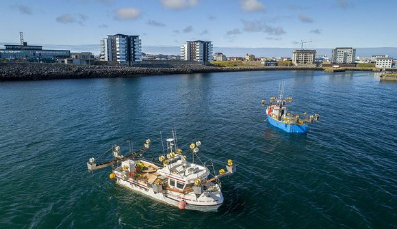 Mokveiði á makríl við höfnina