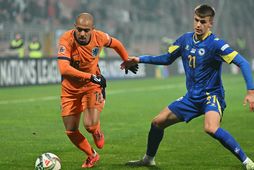 Donyell Malen á að baki 41 landsleik fyrir Holland.