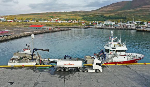 Fyrstu laxaseiðin flutt frá Rifósi