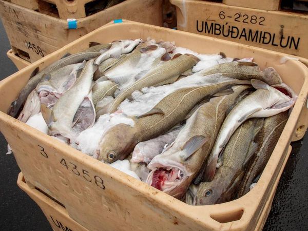 The model is based on more than 1.2 million hours of fishing data.