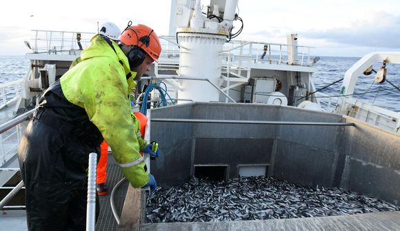 „Stórt áhyggjuefni hvernig staðan er“