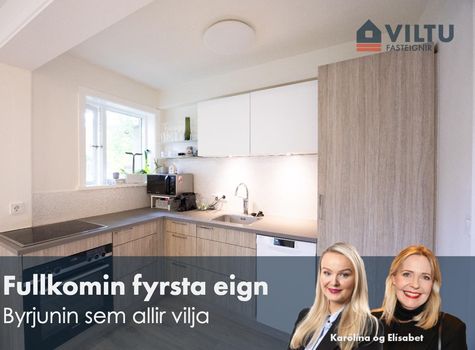 Víðimelur 46