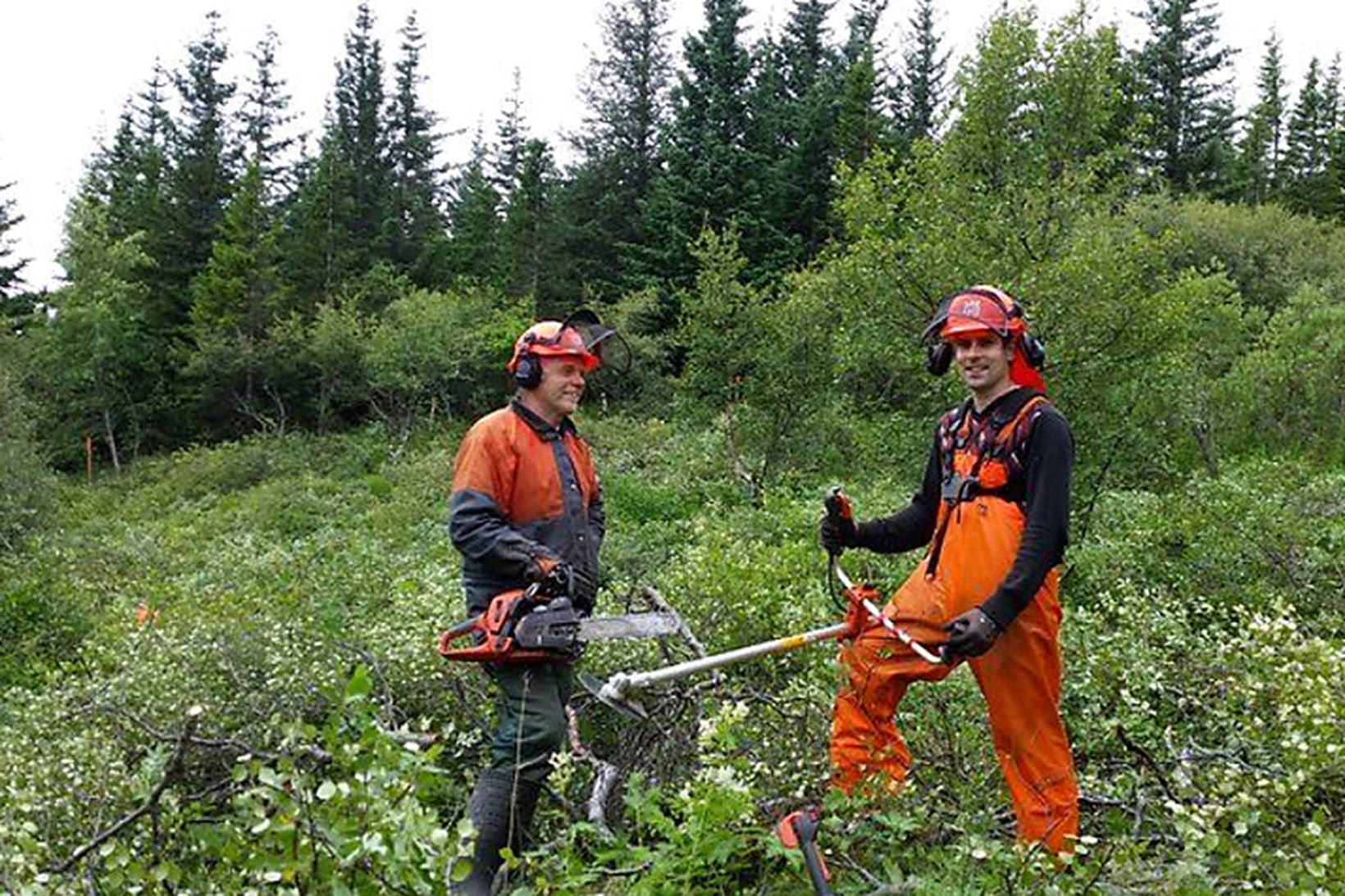 Einar Óskarsson verkstjóri og Níels Magnússon skógarhöggsmaður, starfsmenn Skógræktar ríkisins …