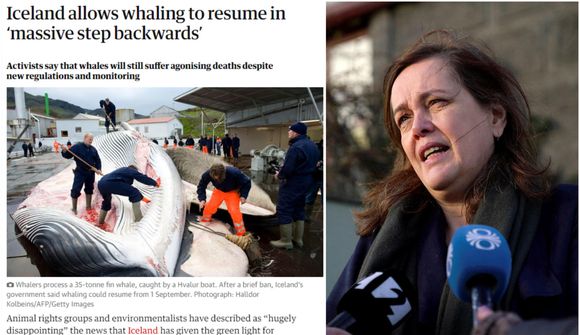 Ísland tekur „risastórt skref aftur á bak“