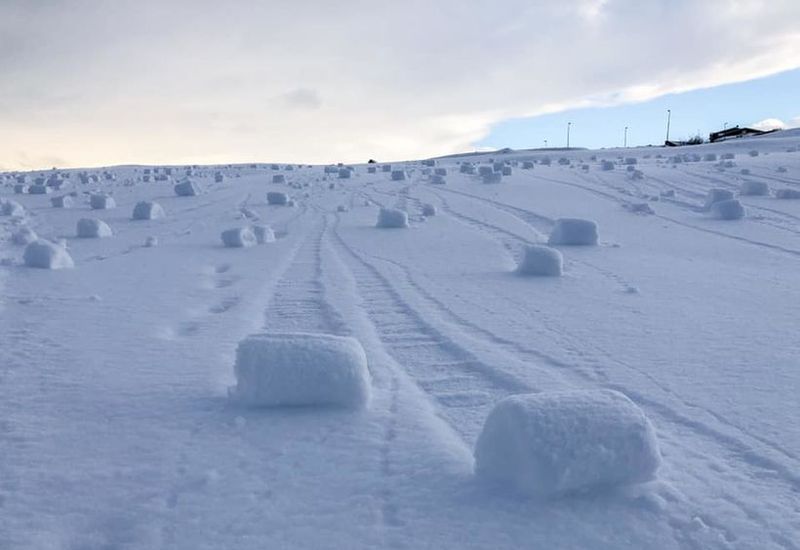 Snow rollers at the Keilir golf course yesterday.