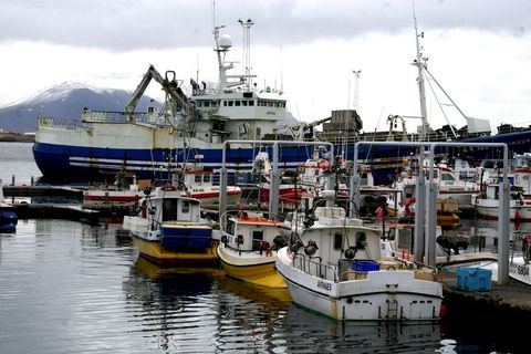 Fisheries are one of Iceland's most important industries.