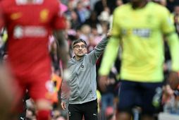 Ivan Juric er knattspyrnustjóri karlaliðs Southampton.