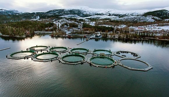 „Óforsvaranlegt með öllu“