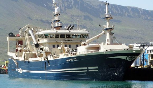 Makrílvinnslan hafin í Neskaupstað