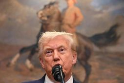 Trump ávarpar blaðamenn fyrir framan málverk af Teddy Roosevelt. Bandaríkin hafa átt marga litríka forseta