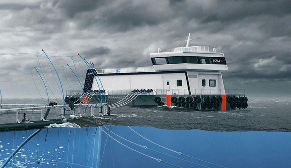 Tengiltvinnprammar í eldið á Austurlandi