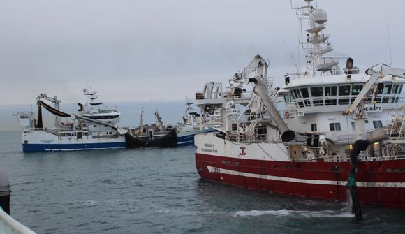 Von á 100 þúsund tonna viðbótarloðnukvóta