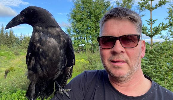 Einstök vinátta hunds og hrafns