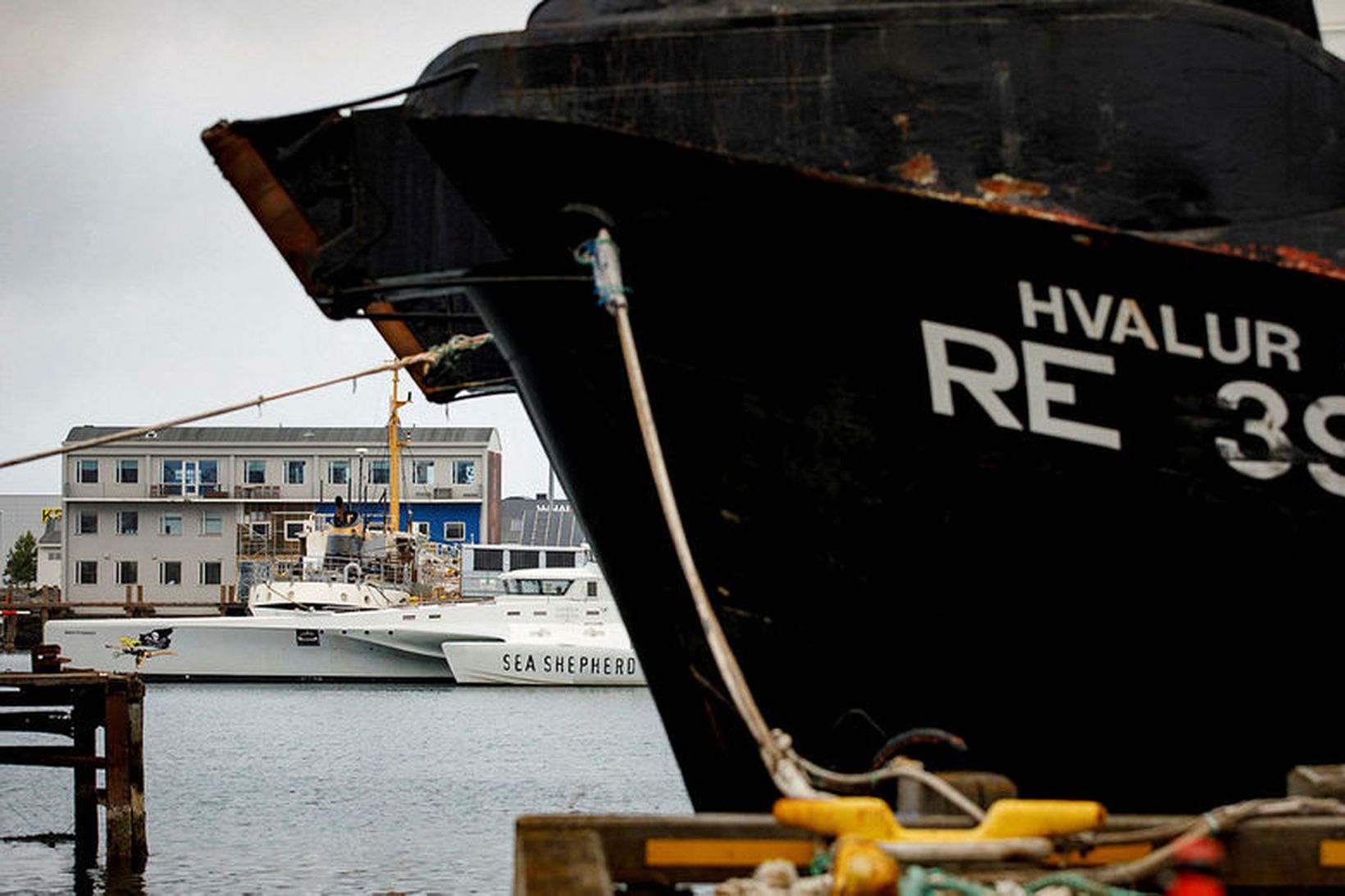 Skip Sea Shepherd, MV Brigitte Bardot, sést hér í fjarska …